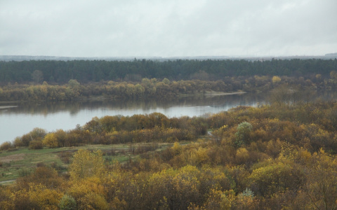 Чего пензенцам ждать от погоды 7 ноября?