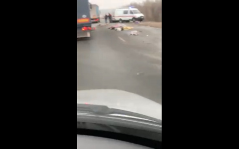 В ГИБДД прокомментировали смертельную аварию под Пензой: двое погибших