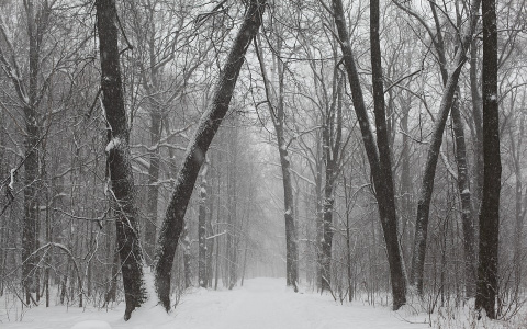 Ночью 30 ноября пензенцев ждут холод и снег, днем – потепление
