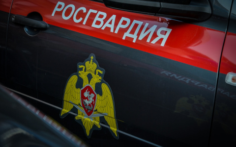 В Пензе Росгвардия задержала дебошира