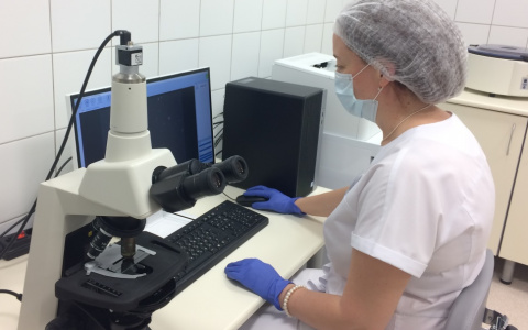 В Пензу привезли новое оборудование для искусственного оплодотворения