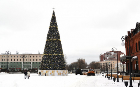 Главная елка на площади Ленина готова к празднику