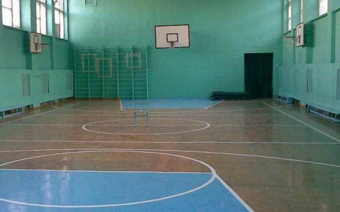 В 2019 году в Пензенском регионе откроют в школах новые спортивные залы