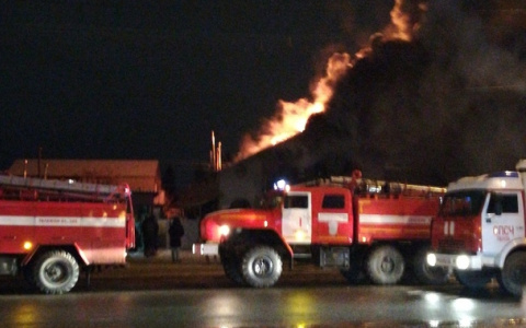 В Терновке сгорел жилой дом – видео