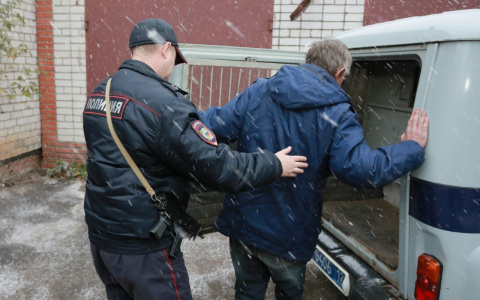 В Пензенской области пенсионер заготовил конопли на зиму