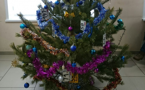 Пензенские гаишники украсили елку автономерами