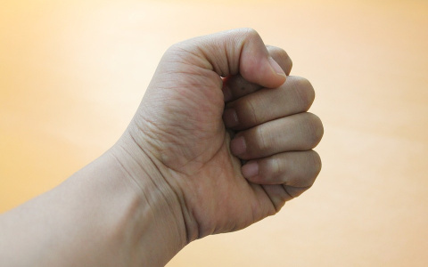 Пензенец до смерти избил родного брата за пьяный дебош