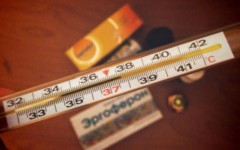 Жители на улице Толстого могли умереть от разлившейся в доме ртути