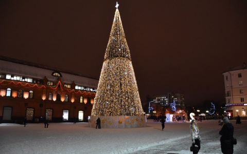 Пензенская елка на площади Ленина вошла в десятку самых высоких в России
