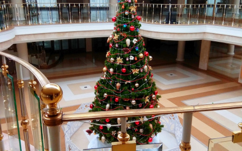 В Пензенском драмтеатре установили шестиметровую елку