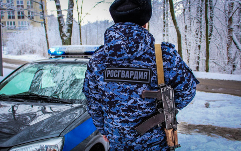 В новогоднюю ночь пензенцев будут охранять более 200 росгвардейцев