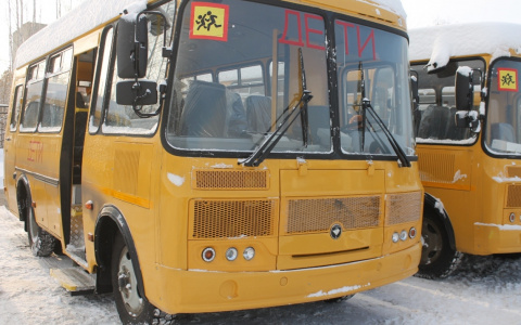 В Пензенскую область прибыли восемь новых школьных автобусов
