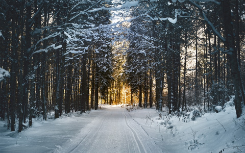 Пензенцев ждут сильные порывы ветра и снегопад
