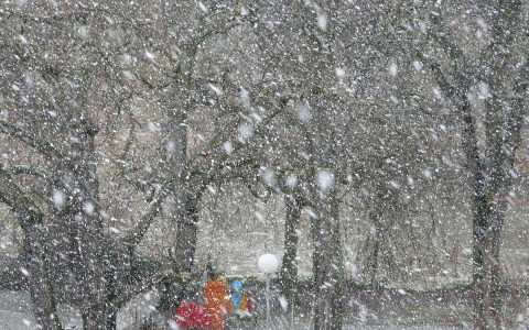 В пятницу пензенцев ожидают слабая метель и гололед