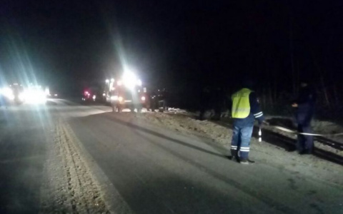 В жуткой аварии в Пензенской области погиб ребенок и двое взрослых