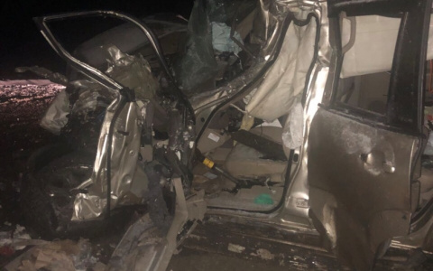 Страшное ДТП на трассе под Мокшаном: нужна помощь каждого пензенца