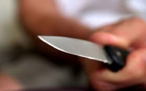 В Пензенской области хозяин дома нанес гостю 15 ножевых ранений за оскорбления