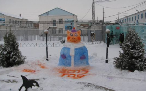 В пензенской колонии теперь обитает "свинья"