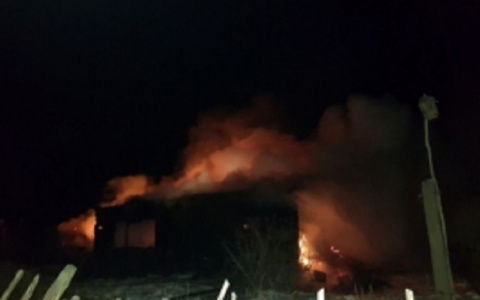 В Нижеломовском районе пожар уничтожил жилой дом