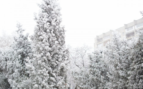 В Пензенской области 12 января ожидается метель и мороз