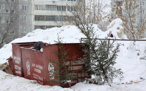 В Пензе выкидывают елки на Старый Новый год, но кто-то оставляет до весны