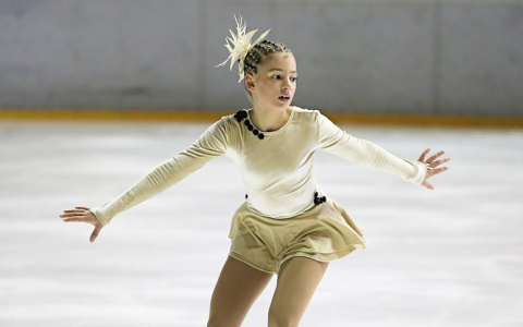 За 250 млн в регионе появится ледовый дворец для фигуристов