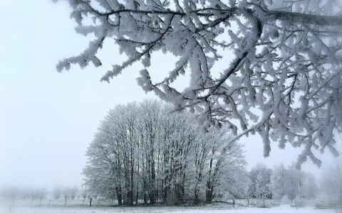 В Пензенской области 18 января ожидается гололед