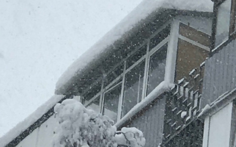 Снег и лед с крыши едва не убили пензячку: Видео