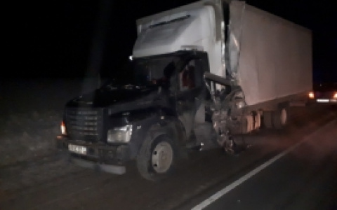 Смертельное ДТП в Пензенской области: Toyota столкнулась с грузовиком