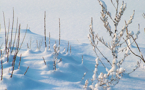 Смогут ли синоптики порадовать пензенцев прогнозом на выходные?