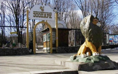 Карусели и зверушки: в эти выходные для пензенцев все бесплатно