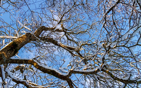 Прогноз погоды: Придет ли в Пензенскую область долгожданная весна?