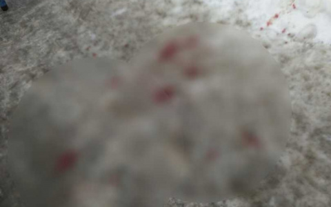 «Кровь на льду» Что произошло ночью у Рембыттехники?