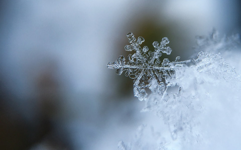 В Пензенской области 19 февраля ожидается снег и порывистый ветер