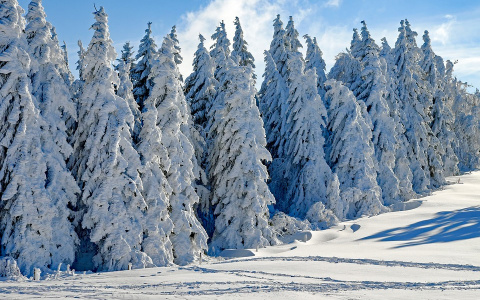 Какая погода ждет пензенцев в среду?