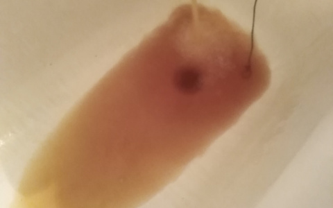 У жителей Пензы из крана течет красная вода