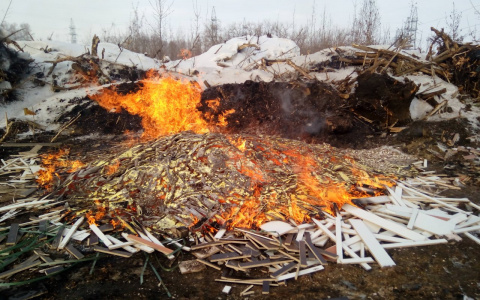 В Пензенской области запретят сжигать мусор и отходы?