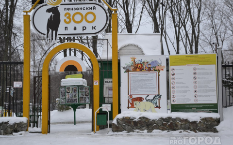 В пензенском зоопарке изменился режим работы