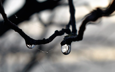 В Пензу пришла весна: Чего ждать от погоды горожанам?