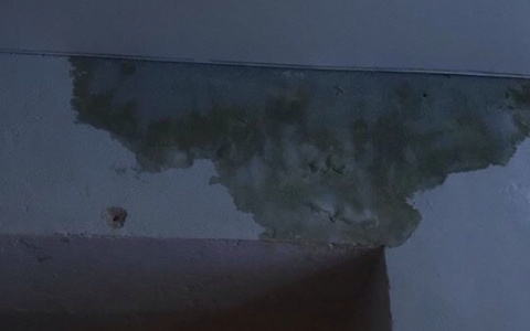 «Мокрое пятно гниет и зеленеет»: в центре Пензы на два этажа протекает крыша
