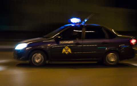 В Пензенской области автомобилист ударил пешехода в лицо и уехал