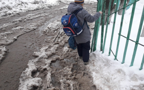 «Садись в гондолу и плыви к знаниям»: как в Пензе ученики добираются до школы