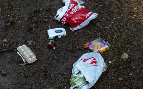 "Жечь каждый день": пензенец предложил решение мусорной проблемы