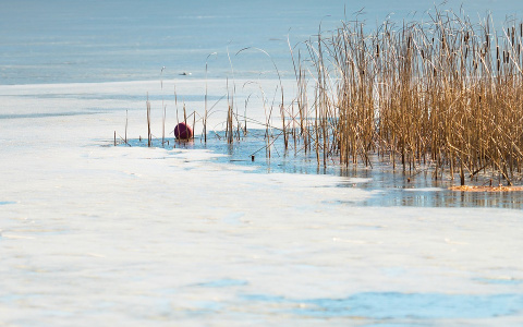 В Пензенской области 8 марта ожидается гололед и порывистый ветер