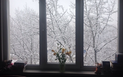 Фотоподборка: в Пензу вернулась зима