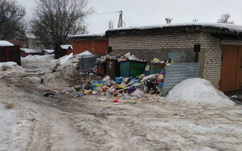 "Когда закончится этот бардак": пензенцы о вывозе мусора