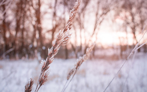 В последний день рабочей недели в Пензенской области ударят морозы
