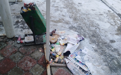 Пензенцев возмутила мусорка возле роддома
