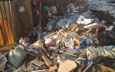 "За что мы платим деньги?": в Пензе на Шуисте полгода не вывозили мусор