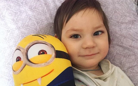 Пензенцев просят помочь "Лисёнку"